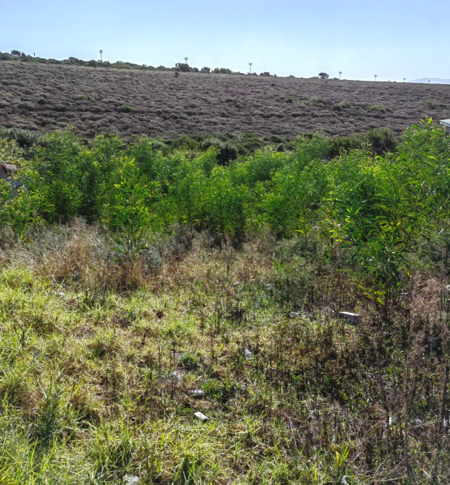  Bedroom Property for Sale in Wavecrest Eastern Cape